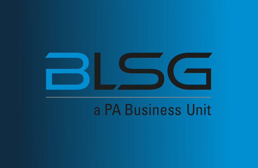 BLSG consulting