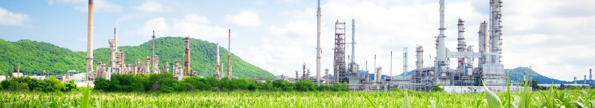 oil refinery in bright daylight on blue sky background with green grass in foreground